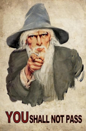 Gandalf. If I was a Teacher I would hang a poster of this up in my ...