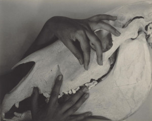 Georgia O’Keeffe: A Portrait, by Alfred Stieglitz