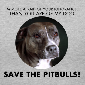 Design ~ Save Pitbulls Womens V Neck Tee, I'm More afraid of your ...
