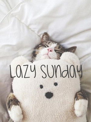 Lazy-Sunday-cat-ft.jpg