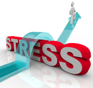 there are two types of stress good stress is excitement and ...