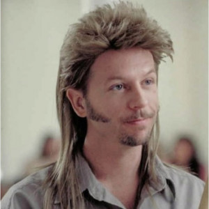 Joe Dirt, funny movie :)