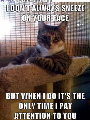 ... the-most-interesting-cat-in-the-world-you-want-attention-get-a-dog.jpg