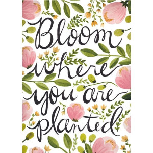 bloom where you are planted — the painted arrow