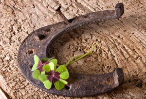 both horseshoes and four leaf clovers are considered good luck charms