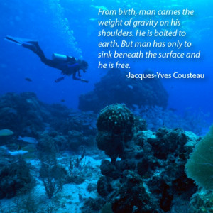 ... Dive Quotes, Jacques Cousteau Quotes, Scuba Diving Quotes, Scubas