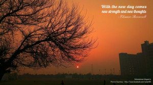 Sunset Sunrise Trees Quotes...