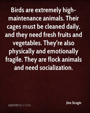 Birds are extremely high-maintenance animals. Their cages must be ...
