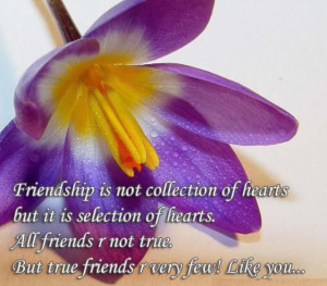 Friendship Quotes Friends Graphics Friendship Sayings