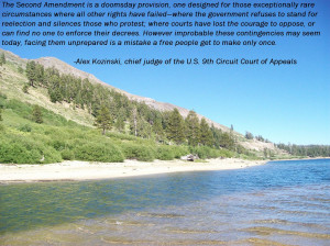 ... Doomsday Provision...[1283x962] -Judge Alex Kozinski ( i.imgur.com