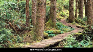 Rodney alexander famous quotes 5