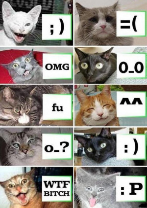 Funny Caticons - Image
