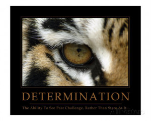 Determination - Eye of the Tiger Photographic Print