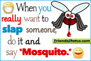 When you really want to slap someone, do it and say “mosquito.”