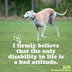 Kindness Animals Quotes Animals - quotes on pinterest