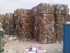 View Product Details: OCC waste paper