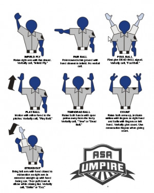 Umpire Signals Image Credited
