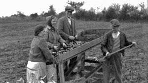 Irish Potato Famine Farmers