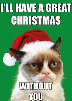 Grumpy Cat Quotes Christmas Grumpy cat