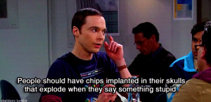 ... Big Bang Theory sheldon cooper tv series funny quotes stupid people