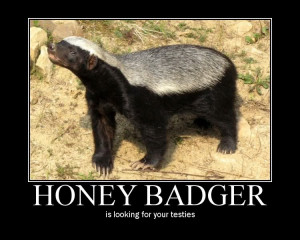 Thread: you think the honey badger cares? ROTFFLMAO!