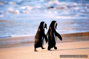 好笑的图片，无聊时看看