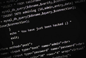 Anonymous Hacker Brings Down GoDaddy - Technology News - redOrbit