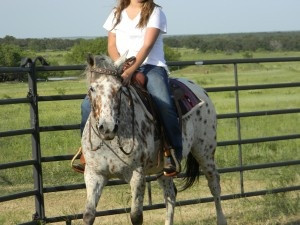 equestrian, equine, escape, eventing, great, horse, horseback, horses ...