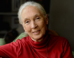 http://www.janegoodall.org/ here you can check other Dr. Jane Goodall ...