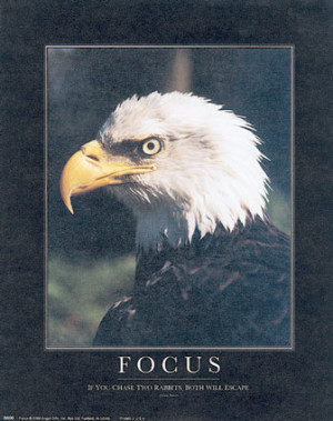 Focus Real Image Size 336 X 425 Pixels Type Poster Date 9 12 2003 2 31 ...