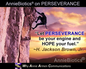 PERSEVERANCE Quotes in Business and in Life! | WhyAnnieArmen.com