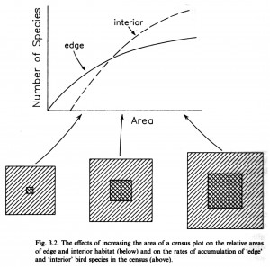 Here's an example from Borneo. This is what we are doing to this ...