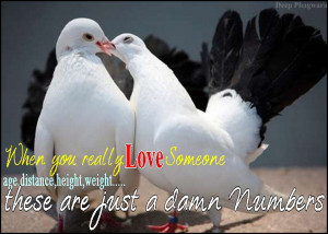 Lovely Love You Quotes