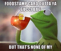 Kermit Meme That 39 s None of My Business