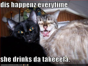 funny-pictures-cat-takes-bad-photos-when-he-drinks-tequila