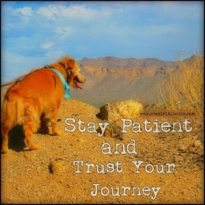 Instagram media by cowgirlblondie - Stay patient and trust your ...