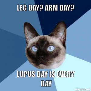 Resized_chronic-illness-cat-meme-generator-leg-day-arm-day-lupus-day ...