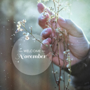 Welcome November.