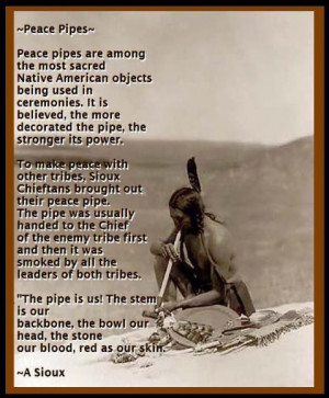 chitownladyj s bucket native american indian native american quotes