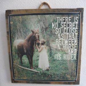 Girl And Her Horse Quotes