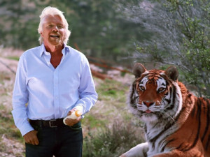 now-richard-branson-has-devoted-himself-to-saving-tigers-in-india.jpg