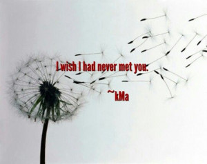 Somedays I wish i had never met you....