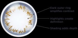 Day Acuvue Define Contact Lenses