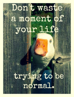 Don’t waste a moment of your life trying to be normal.