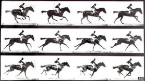 Galloping horse sequence produced by British photographer Eadweard ...