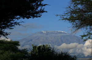 Search Results for: Mount Kenya National Park Slideshow Tripadvisor
