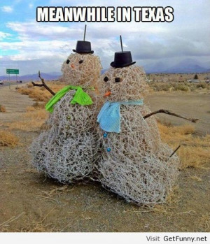 Meanwhile in Texas - Funny Pictures, Funny Quotes, Funny Memes, Funny ...