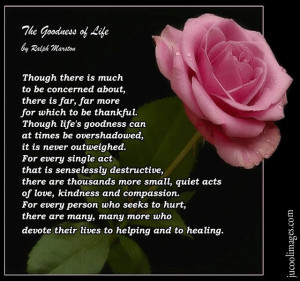 ... flowers php target _blank click to get orkut myspace flowers comments