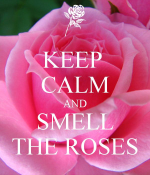 No matter how busy life is, remember to stop and smell the roses.