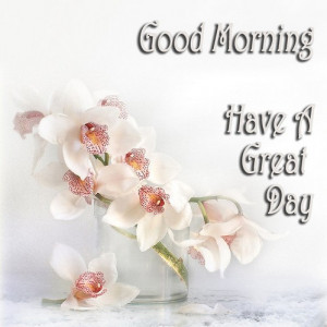 morning-greetings-Good-Morning-Days-comments-Quotes-Sayings-My-Album-1 ...